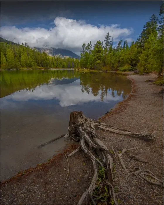 Framed Print : String lake during the Autumn season, a lovely small lake in the Grand Teton National Park, Wyoming, USA Framed Print : String lake during the Autumn season, a lovely small lake in the Grand Teton National Park, Wyoming, USA