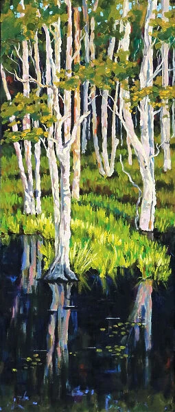 Stringy Bark Acacia Eucalyptus Trees in Wetlands Painting