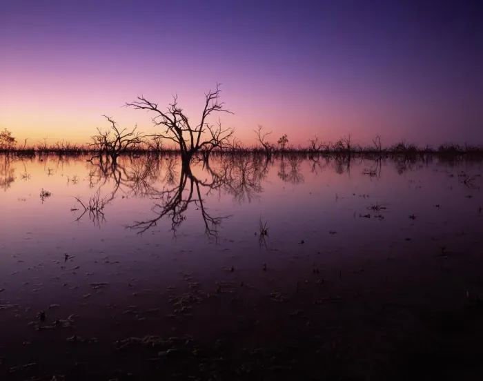 Framed Print : Stunning Australian outback sunset colours and with dead trees featured on Tandure Lake Framed Print : Stunning Australian outback sunset colours and with dead trees featured on Tandure Lake
