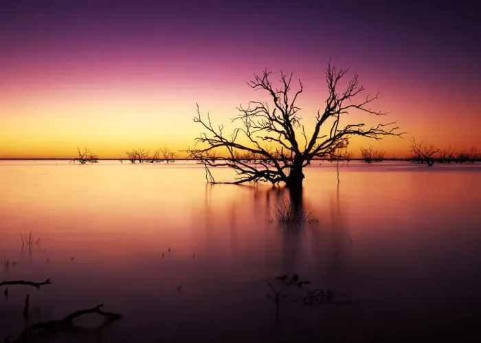 Framed Print : Stunning Australian outback sunset colours and with dead trees featured on Tandure Lake Framed Print : Stunning Australian outback sunset colours and with dead trees featured on Tandure Lake