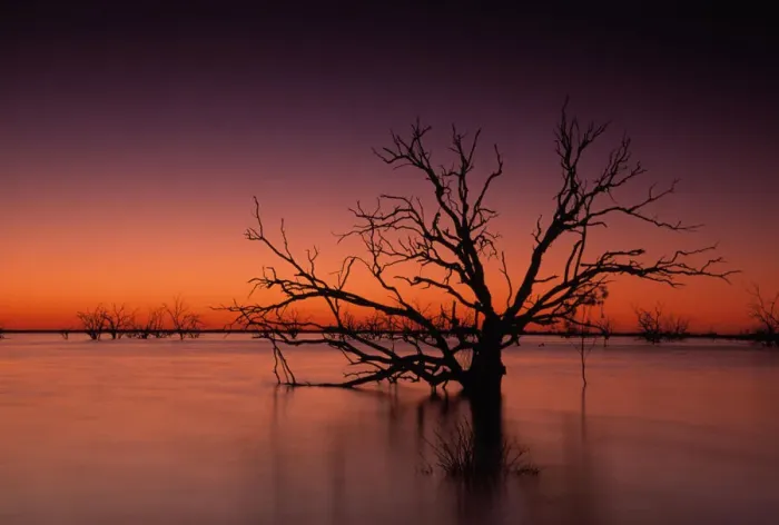 Framed Print : Stunning Australian outback sunset colours and with dead trees featured on Tandure Lake