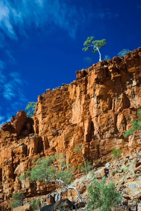 Framed Print : Stunning outback landscape of ghost gums on cliffs