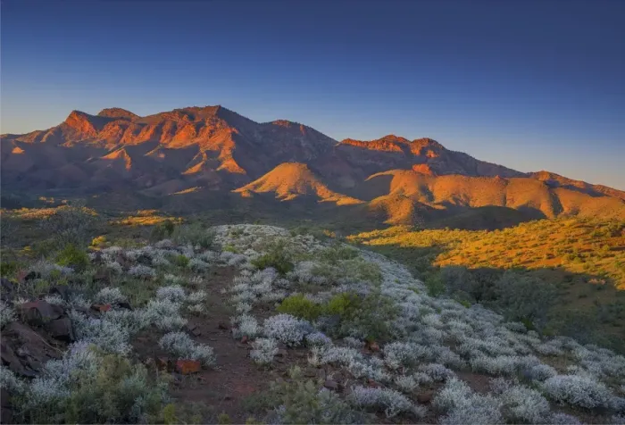 Framed Print : A stunning red tinged dawn at the Glass Range, southern Flinders ranges, South Australia Framed Print : A stunning red tinged dawn at the Glass Range, southern Flinders ranges, South Australia