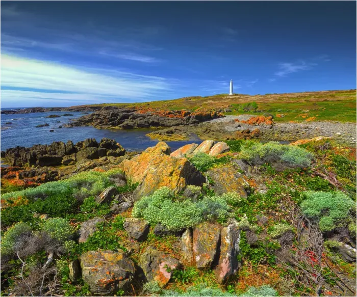 Framed Print : Summer at Cape Wickham Framed Print : Summer at Cape Wickham