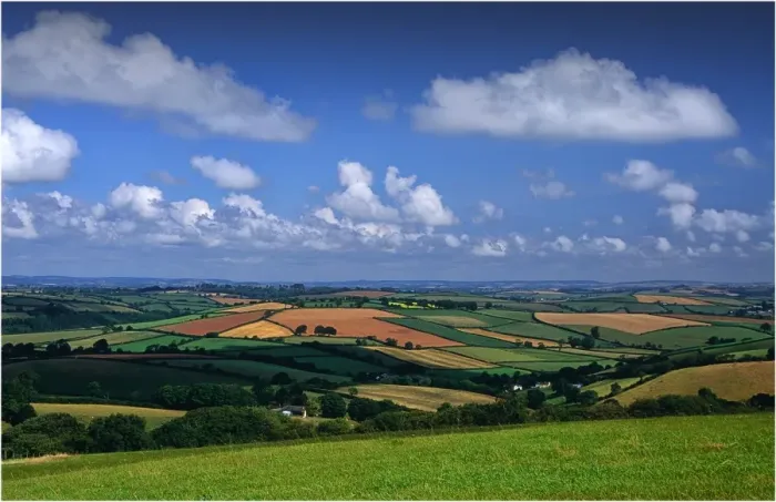 Framed Print : Summer in the Devon countryside, England, United Kingdom Framed Print : Summer in the Devon countryside, England, United Kingdom