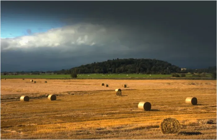 Framed Print : Summer Harvest at Stirling, Scotland