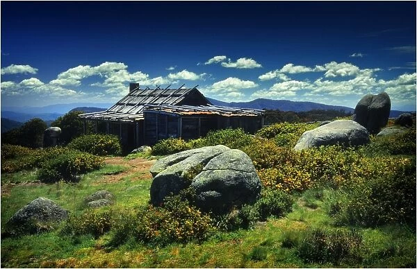 Summer in the high country of Central Victoria, near the summit of Mount Stirling