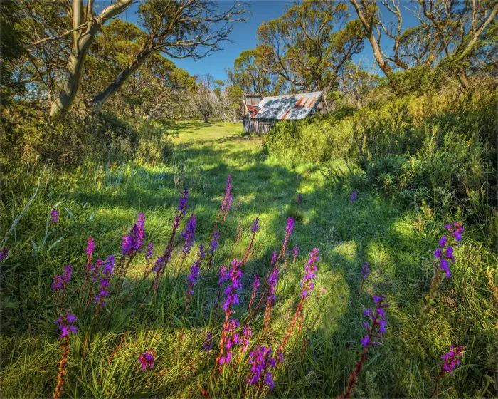 Framed Print : A summer view of Wallaces Hut in the Alpine region of north east Victoria, Australia