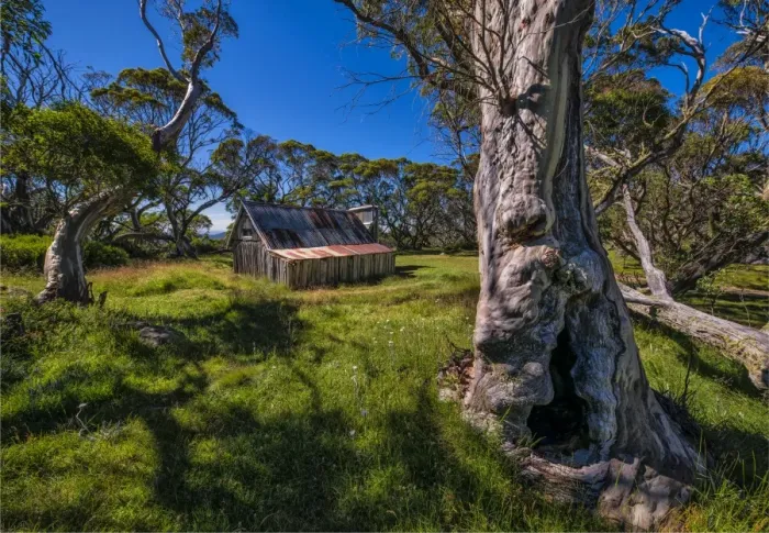 Framed Print : A summer view of Wallaces Hut in the Alpine region of north east Victoria, Australia Framed Print : A summer view of Wallaces Hut in the Alpine region of north east Victoria, Australia