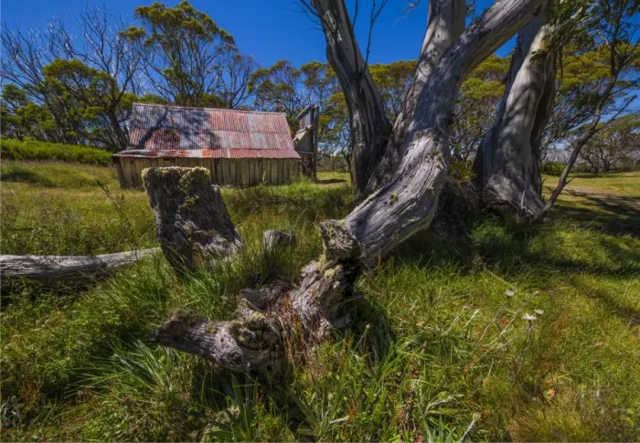 Framed Print : A summer view of Wallaces Hut in the Alpine region of north east Victoria, Australia Framed Print : A summer view of Wallaces Hut in the Alpine region of north east Victoria, Australia