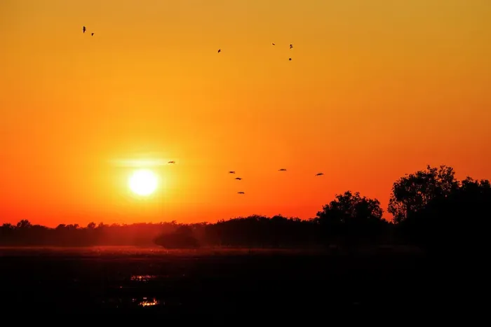 Framed Print : Sunrise with birds in silhouette Framed Print : Sunrise with birds in silhouette
