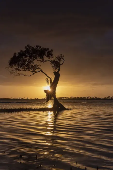 Framed Print : Sunrise at Golden beach on the Sunshine Coast, Australia