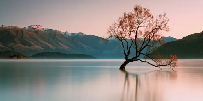 Framed Print : Sunrise at Lake Wanaka