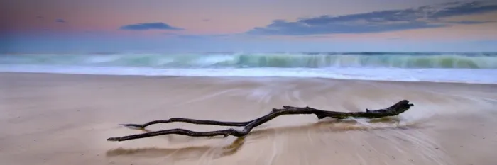 Framed Print : sunrise log on beach