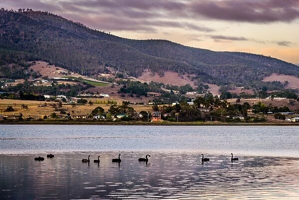 Sunrise over River Derwent. Huon valley, Hobart suburbs, Tasmania