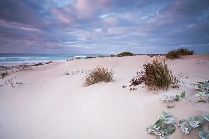 Framed Print : Sunrise over the sand dune