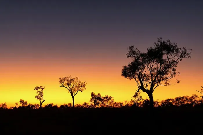 Framed Print : Sunrise with trees in silhouette