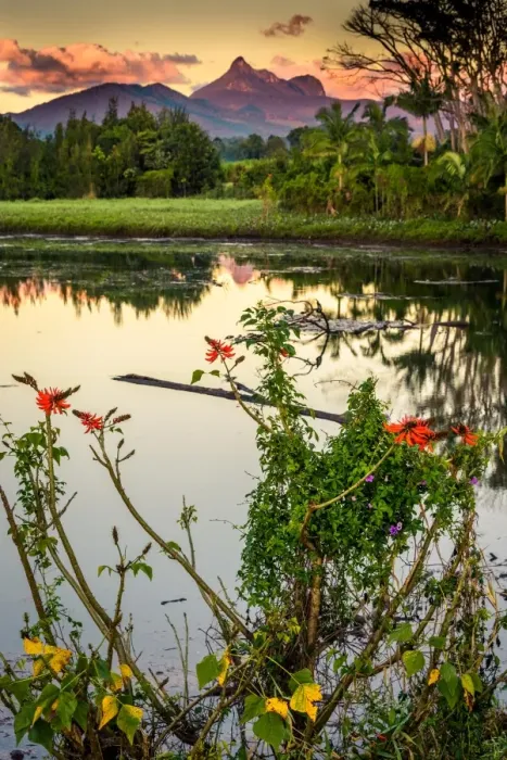 Framed Print : Sunrise at Tweed River and Mount Warning Framed Print : Sunrise at Tweed River and Mount Warning