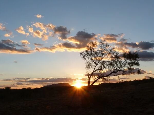 Sunset in Alice Springs, Australia