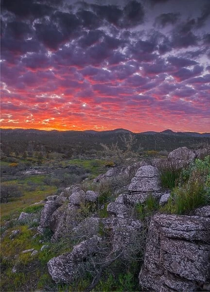 Sunset in the Bunaroo valley in the southern region of Flinders Ranges National Park, South Australia