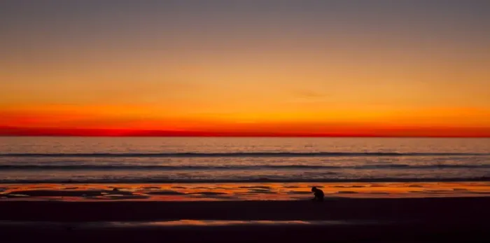 Framed Print : Sunset at Cable Beach Framed Print : Sunset at Cable Beach