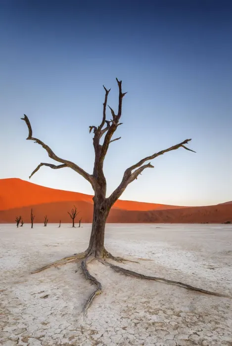 Framed Print : Sunset at Deadvlei, Namibia