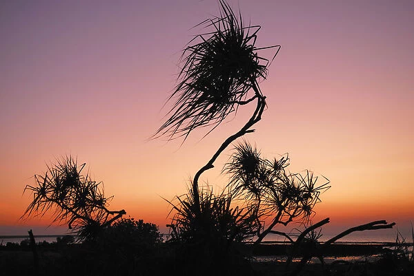 Sunset, East Point, Darwin, Northern Territory, Australia