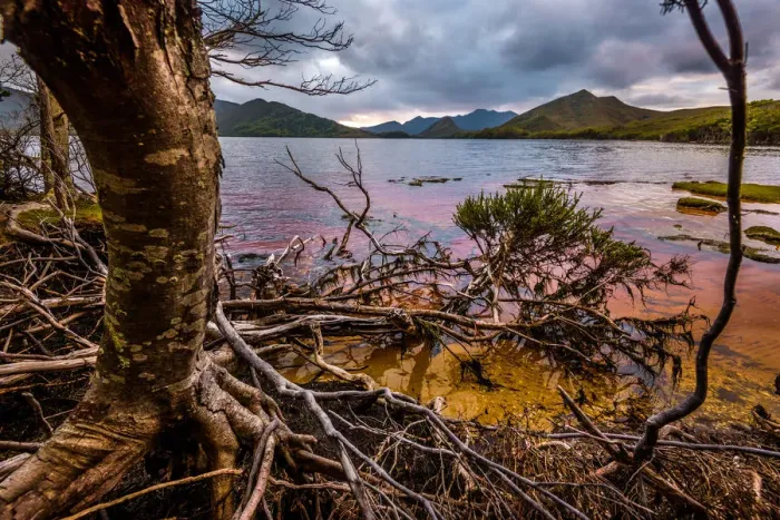 Framed Print : Sunset at Horseshoe Inlet deep in the Southwest Wilderness, Tasmania Framed Print : Sunset at Horseshoe Inlet deep in the Southwest Wilderness, Tasmania