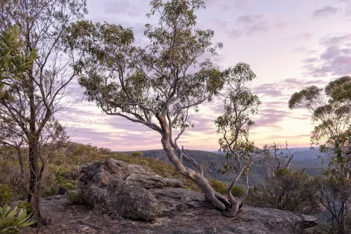 Framed Print : Sunset at lookout at Morton National Park