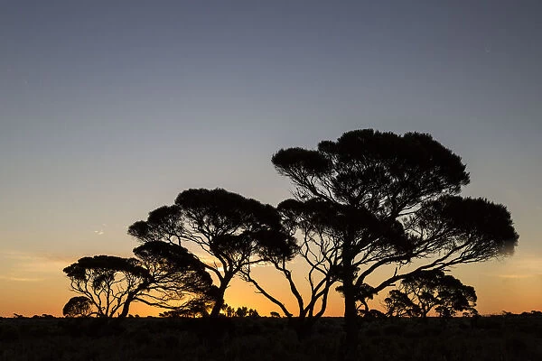 Sunset on the Nullarbor, Western Australia