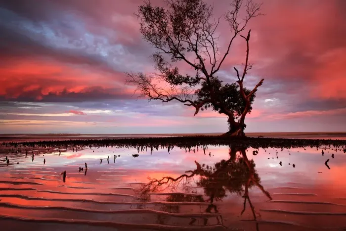 Framed Print : Sunset over tidal area