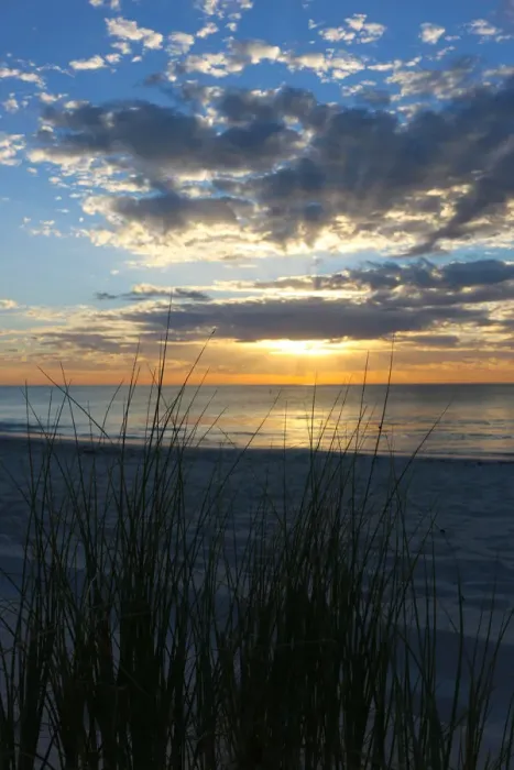 Framed Print : Sunsetting at Whitfords Beach through the grasses of the dunes Framed Print : Sunsetting at Whitfords Beach through the grasses of the dunes
