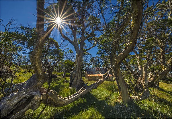 Sunstar at Wallaces hut, in the Alpine mountainous region of north east Victoria, Australia