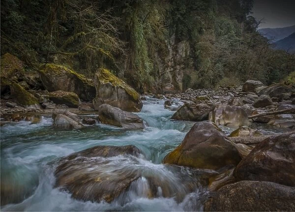 Surging river rapids at Gasa, Bhutan