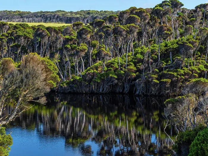 Framed Print : Surprise bay Melaleuca reflections, King Island, Bass Strait, Tasmania, Australia Framed Print : Surprise bay Melaleuca reflections, King Island, Bass Strait, Tasmania, Australia
