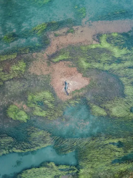 Framed Print : Surreal drone image showing a saltwater crocodile resting on a sandy island in the lower course of the Ord River, The Kimberley, Western Australia, Australia