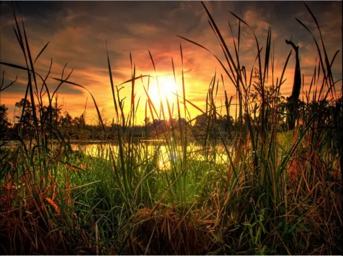 Framed Print : Swamp at sunset Framed Print : Swamp at sunset