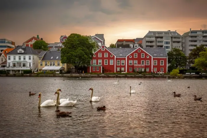 Framed Print : Swans, Ducks and Seagulls in the Breiavatnet Lake with Stavanger City Skyline in the Background, Rogaland County, Norway
