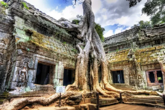 Framed Print : Ta Prom Temple, Siem Reap, Cambodia Framed Print : Ta Prom Temple, Siem Reap, Cambodia
