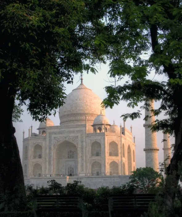 Framed Print : Taj Mahal behind trees at sunrise