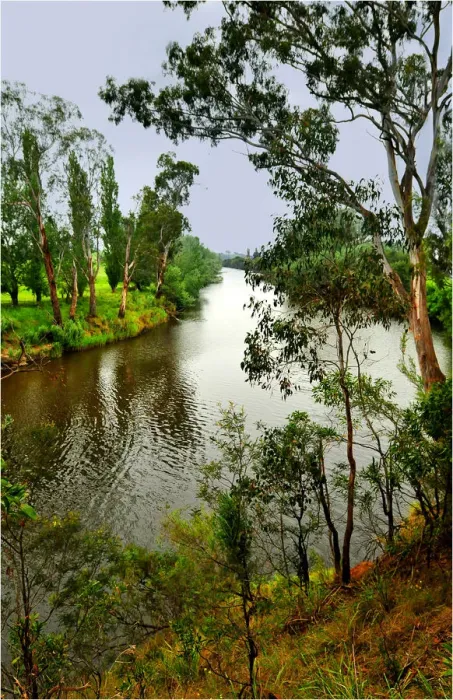 Framed Print : The Tambo river near Bairnsdale, East Gippsland, Victoria