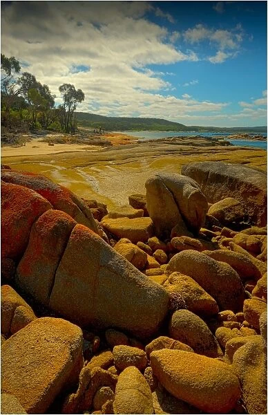 Tanners bay, Flinders Island, part of the Furneaux group, eastern Bass Strait, Tasmania
