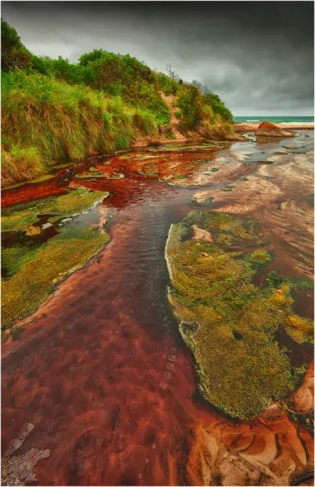 Framed Print : Tannin infused creek meandering its way onto the beach at Disappointment bay, King Island Tasmania Framed Print : Tannin infused creek meandering its way onto the beach at Disappointment bay, King Island Tasmania