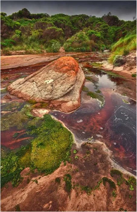 Framed Print : Tannin infused creek meandering its way onto the beach at Disappointment bay, King Island Tasmania