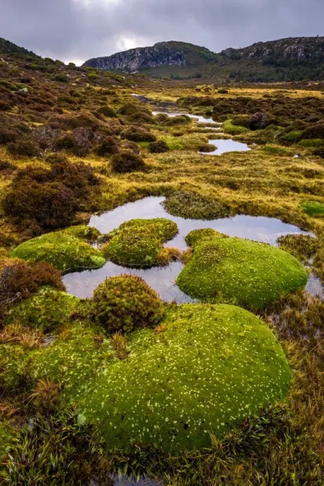 Framed Print : Tarns and King Davis Peak in Walls of Jerusalem National Park, Tasmania