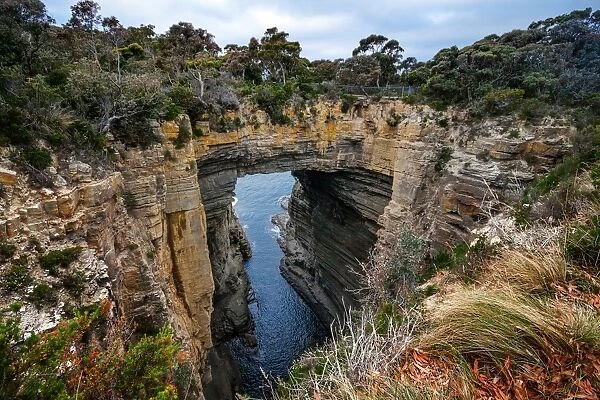Tasman Arch And Littoral Chasm in Tasman National Park, Tasman Peninsula, Tasmania, Australia