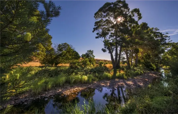 Framed Print : Tasmania, Australia