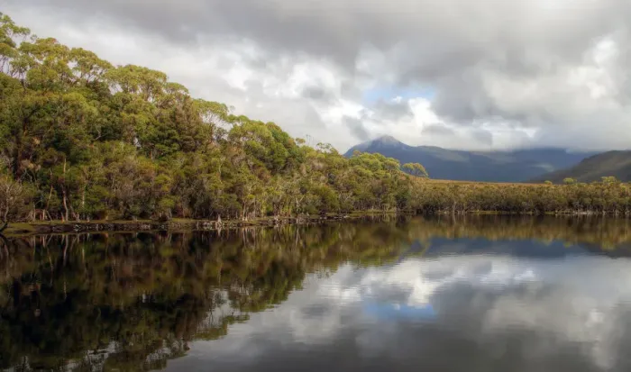 Framed Print : Tasmania Southwest National Park Framed Print : Tasmania Southwest National Park