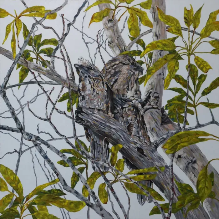 Framed Print : Tawny Frogmouth Family in an Avocado Tree Original Art Framed Print : Tawny Frogmouth Family in an Avocado Tree Original Art