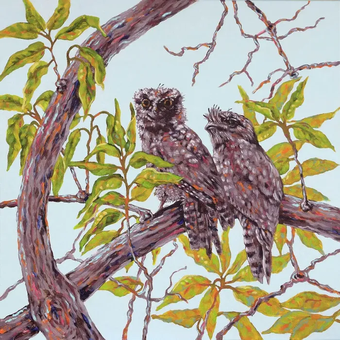 Framed Print : Tawny Frogmouth Podargus strigoides Birds Perched on a Branch Acrylic Painting Framed Print : Tawny Frogmouth Podargus strigoides Birds Perched on a Branch Acrylic Painting
